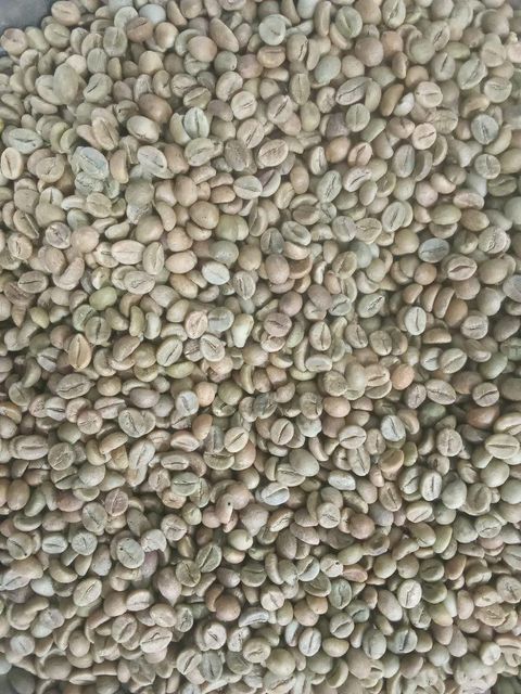 ROBUSTA CHERRY AA Scr 18 Origin India Packing 60 Kgs (net) Place of Origin INDIA Max. Moisture (%) 12.75% Packaging Details 60 KGS NET IN NEW JUTE BAG - Image 5